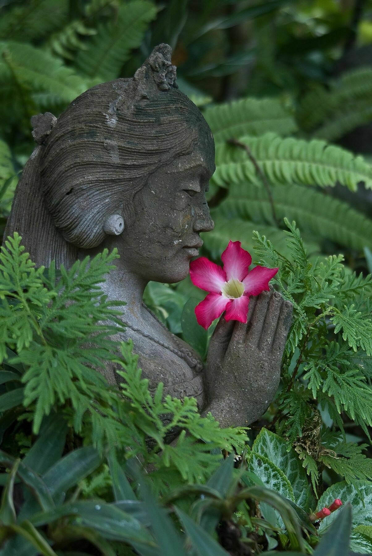 Poppies Bali 3* Kuta (Bali)